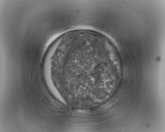 X0000091091271200709041255