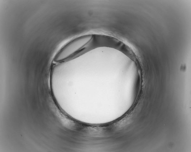 X0000091091272200709041255