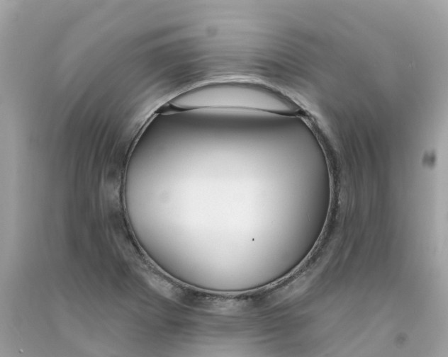 X0000091091273200709041255