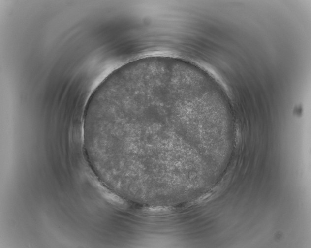 X0000091091274200709041255