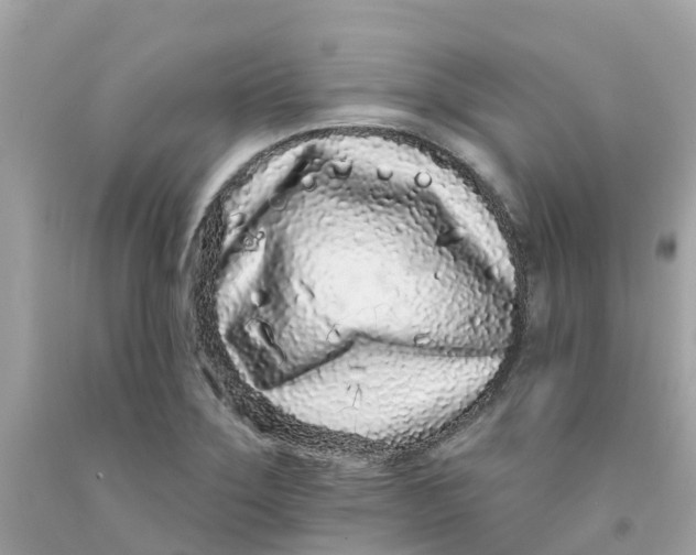 X0000091091275200709041255