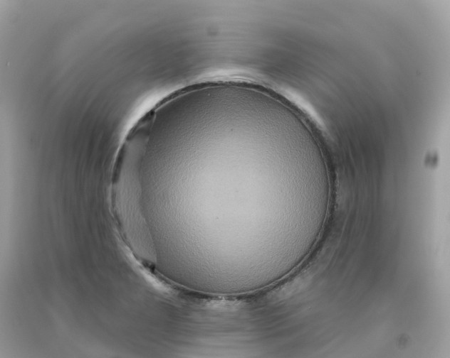 X0000091091277200709041255