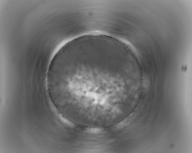 X0000091091278200709041255