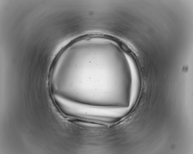 X0000091091279200709041255