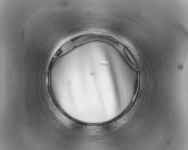 X0000091091280200709041255