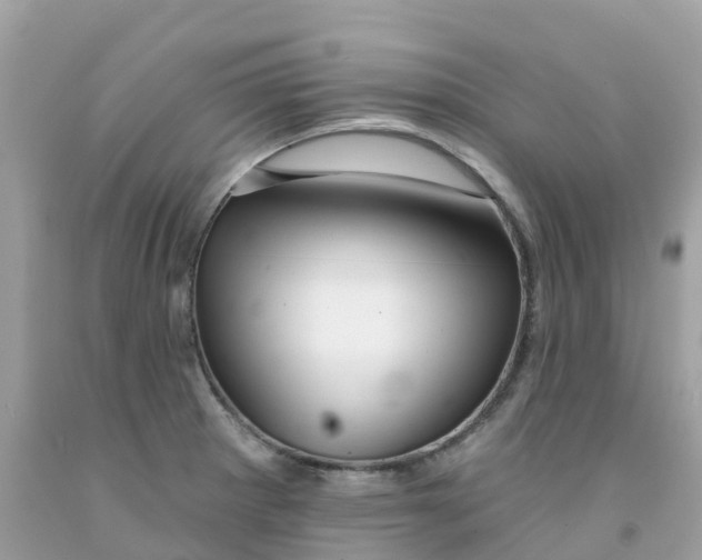 X0000091091281200709041255