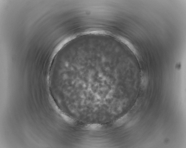 X0000091091282200709041255
