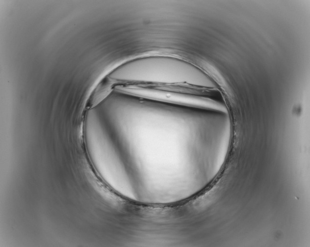 X0000091091284200709041255