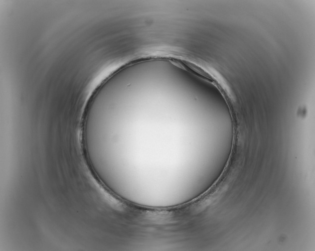 X0000091091285200709041255