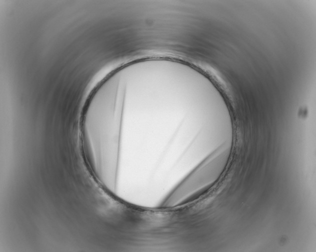 X0000091091286200709041254