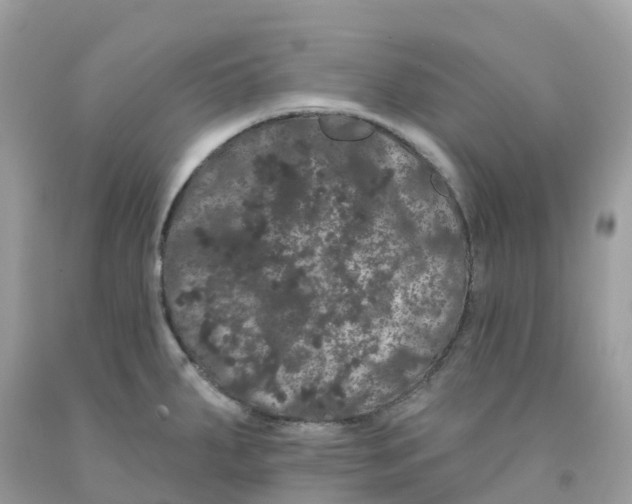 X0000091091287200709041254