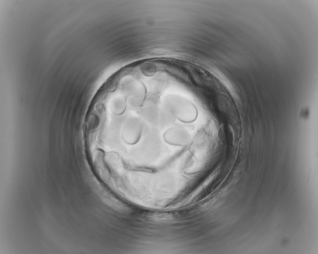 X0000091091291200709041254