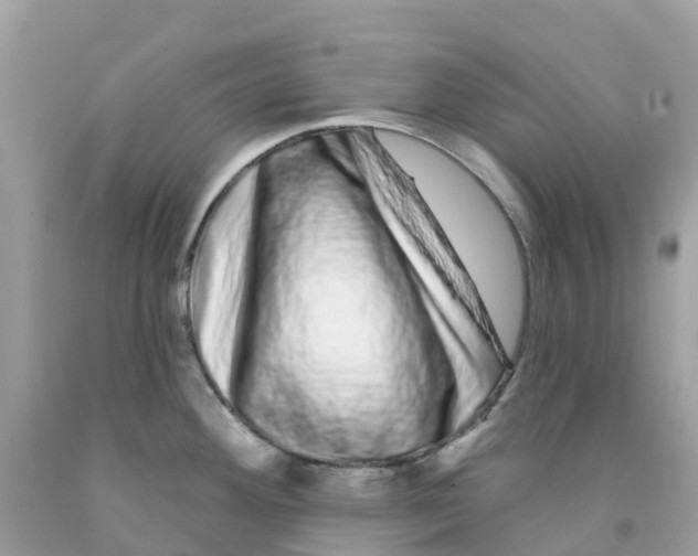 X0000091091292200709041254