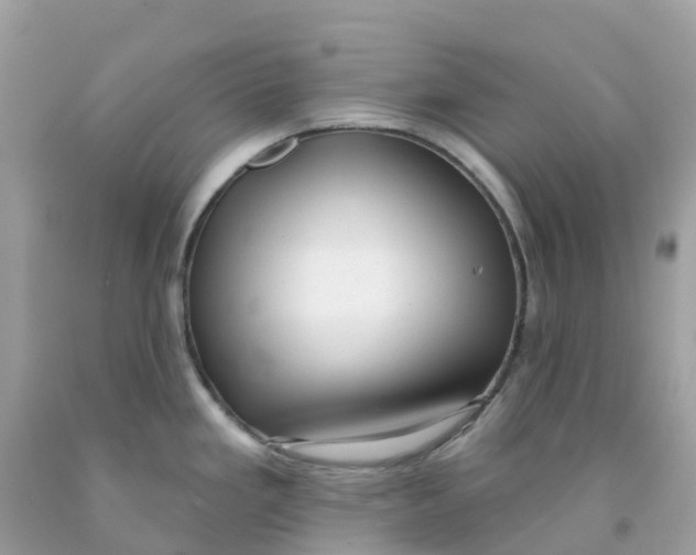 X0000091091293200709041254