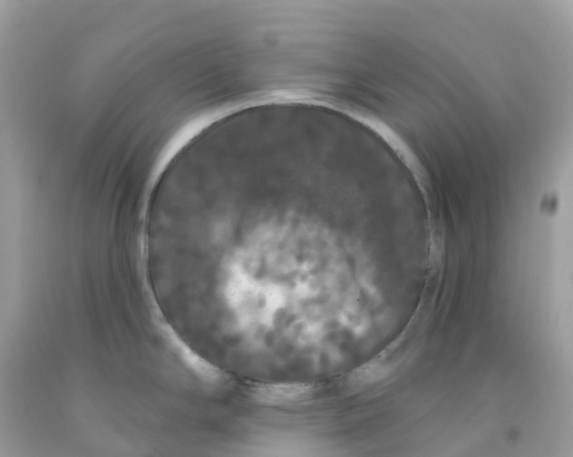 X0000091091294200709041254