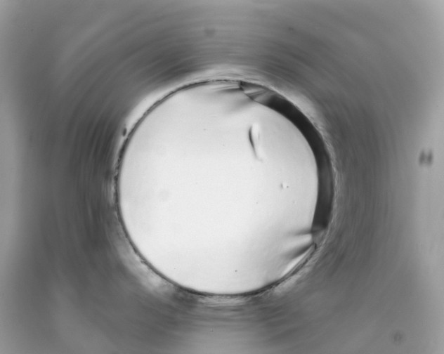 X0000091091296200709041254