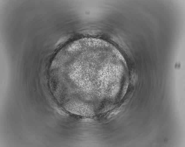 X0000091091297200709041254