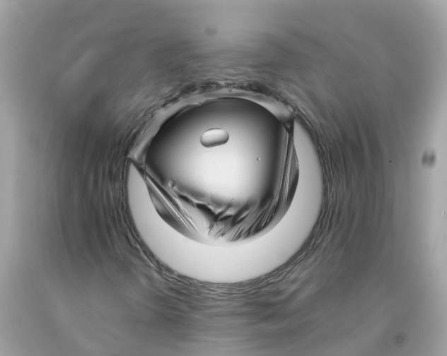 X0000091091298200709041254