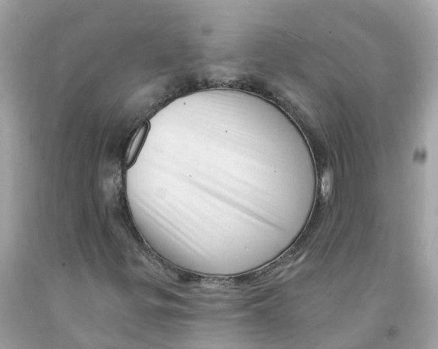 X0000091091299200709041254