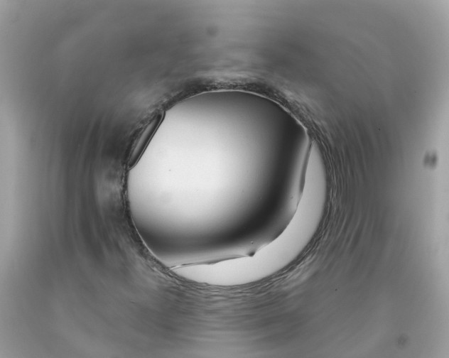 X0000091091300200709041254