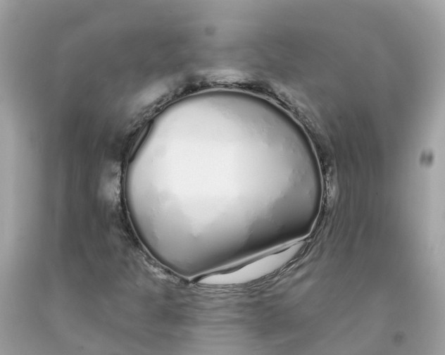 X0000091091301200709041254