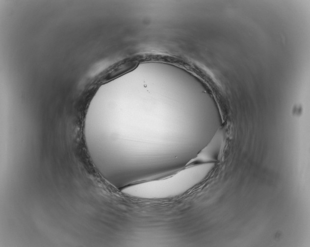 X0000091091303200709041254