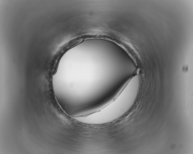 X0000091091304200709041254