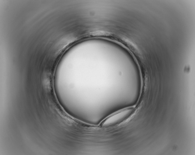 X0000091091305200709041254