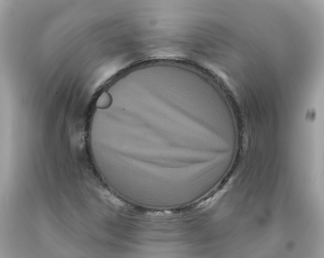 X0000091091306200709041254