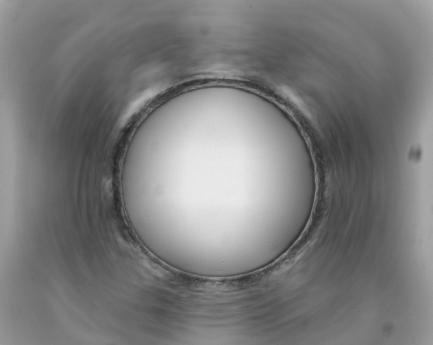 X0000091091307200709041254