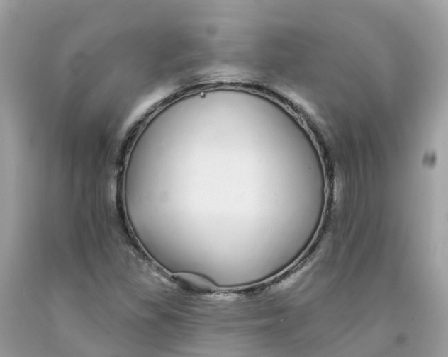 X0000091091309200709041254