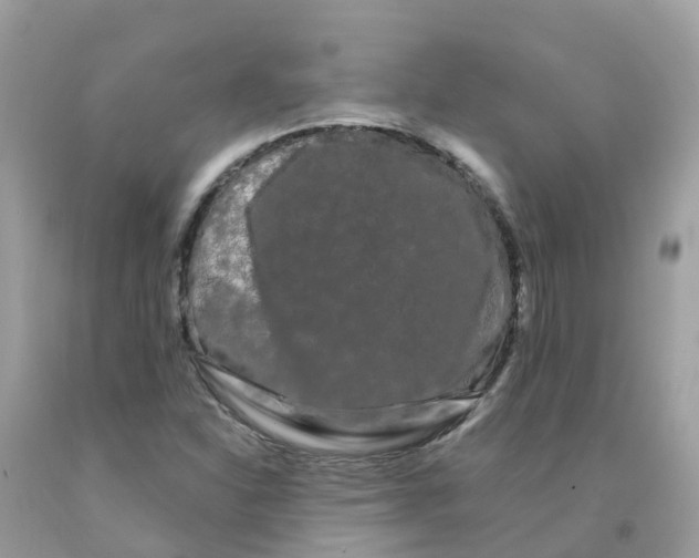 X0000091091310200709041254