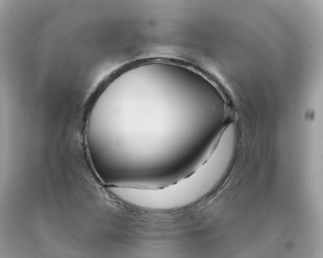 X0000091091312200709041254