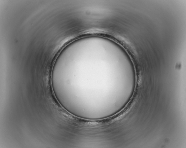 X0000091091313200709041254