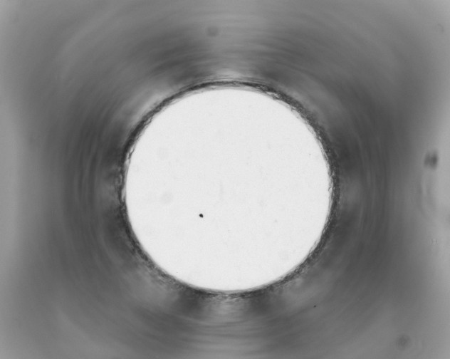 X0000091091314200709041254