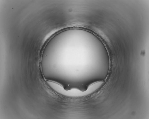 X0000091091316200709041254