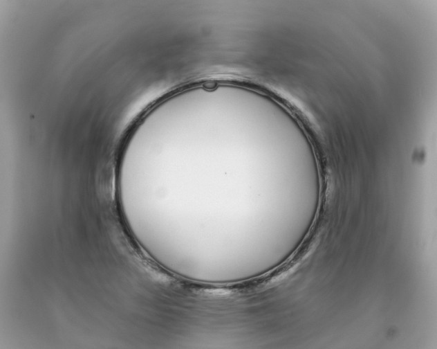 X0000091091317200709041254