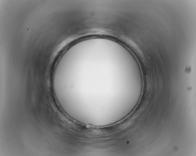 X0000091091318200709041254