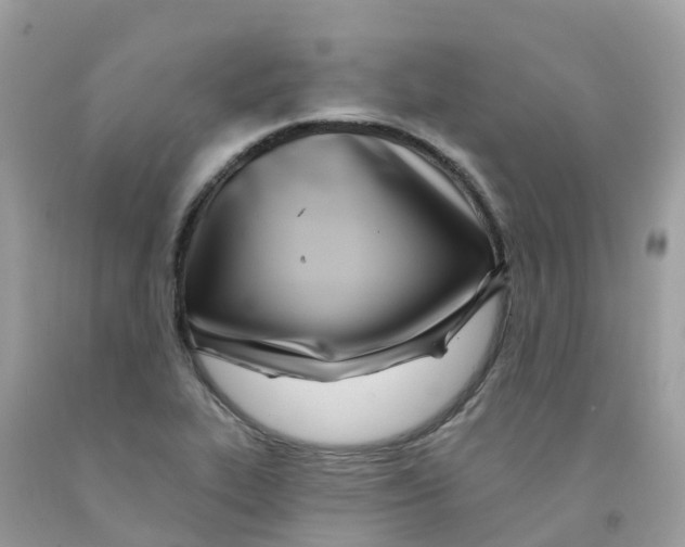 X0000091091319200709041254