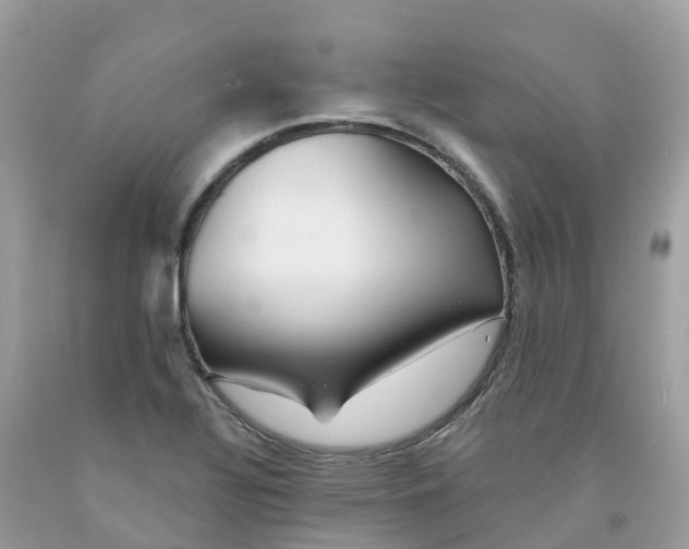 X0000091091320200709041254