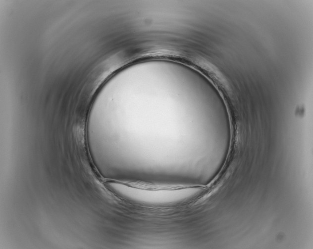 X0000091091321200709041254