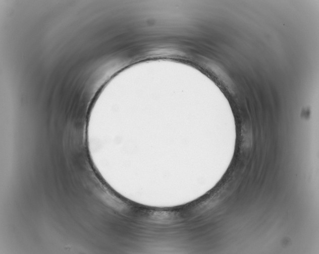 X0000091091322200709041254