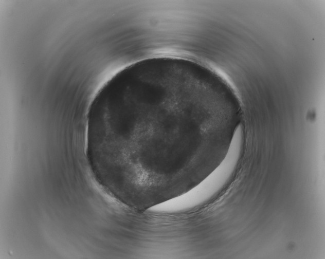 X0000091091323200709041254