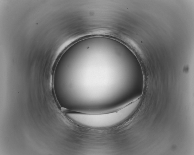 X0000091091324200709041254