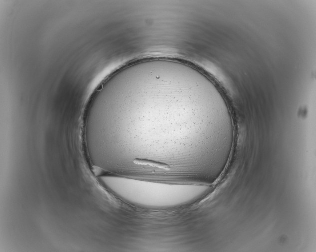 X0000091091325200709041254