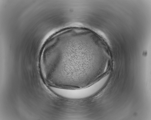 X0000091091326200709041254