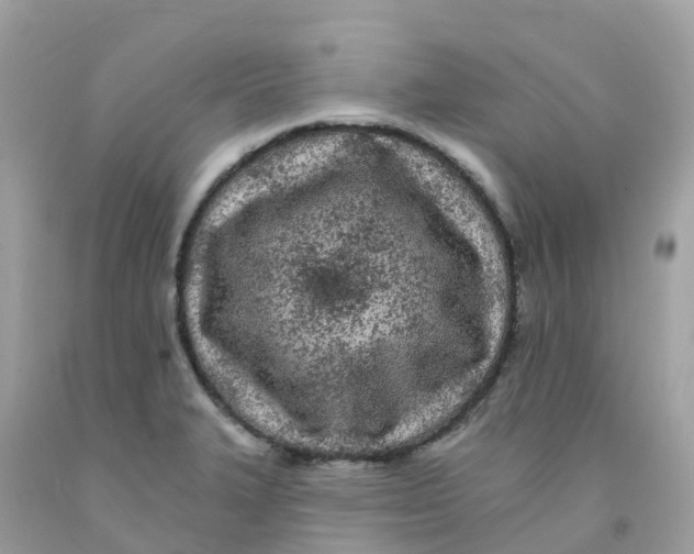 X0000091091327200709041254