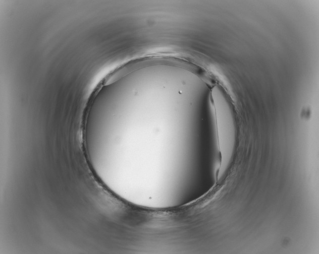 X0000091091328200709041254