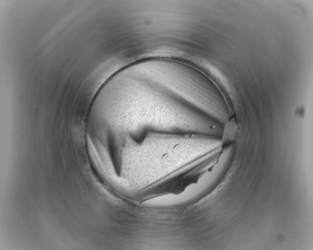 X0000091091329200709041254