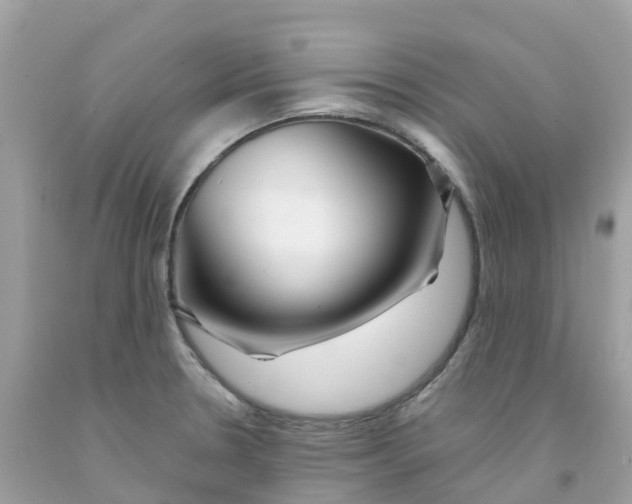 X0000091091330200709041254